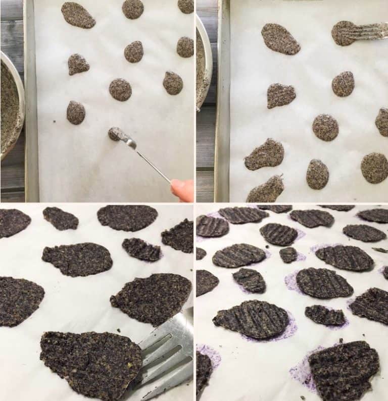 Black Bean Chips This Healthy Kitchen