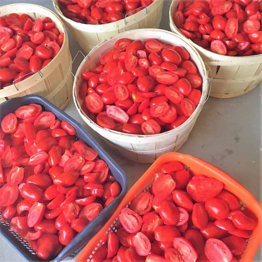bushels and baskets of tomatoes