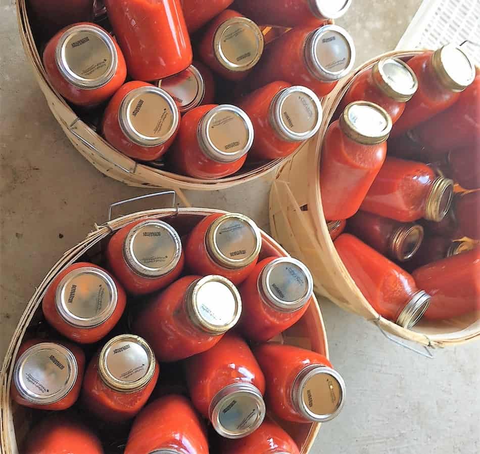 Jars of tomato sauce in bushels.