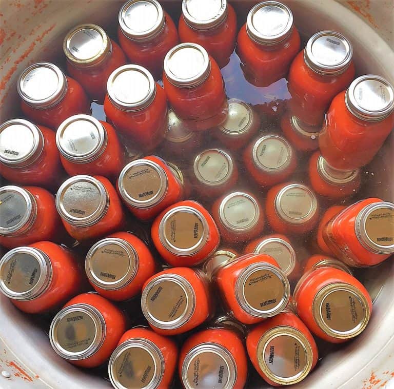 How to Make Homemade Tomato Sauce - This Healthy Kitchen