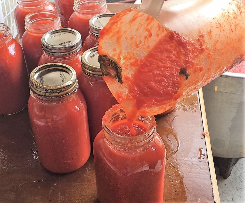 Pouring tomato sauce into mason jars.