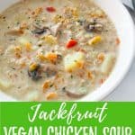 vegan chicken soup PIN with text overlay.