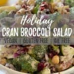 Cranberry broccoli salad PIN with text overlay.