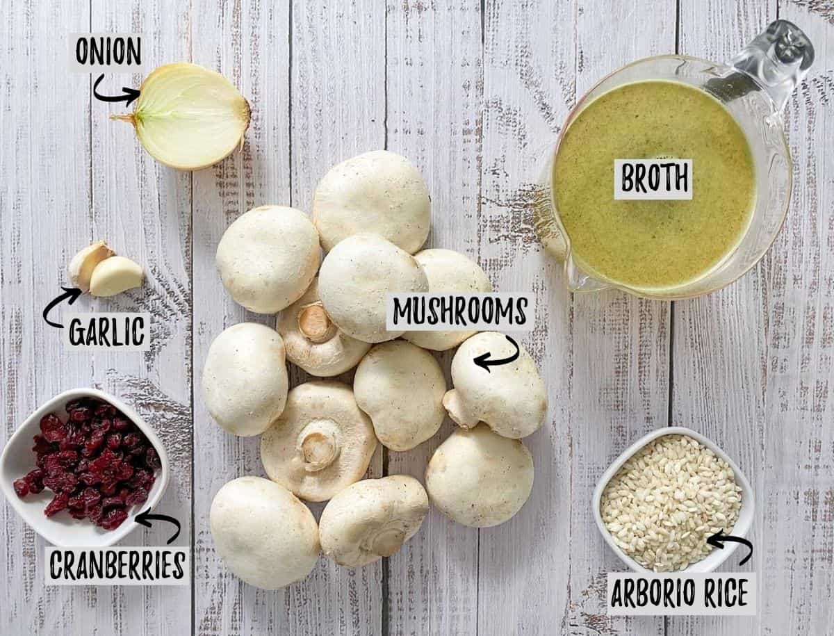 Ingredients to make vegan stuffed mushrooms scattered on grey deck.