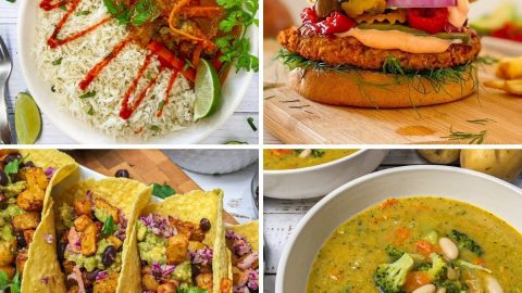Image collage: Thai curry, sweet potato burger, potato tacos and broccoli soup.