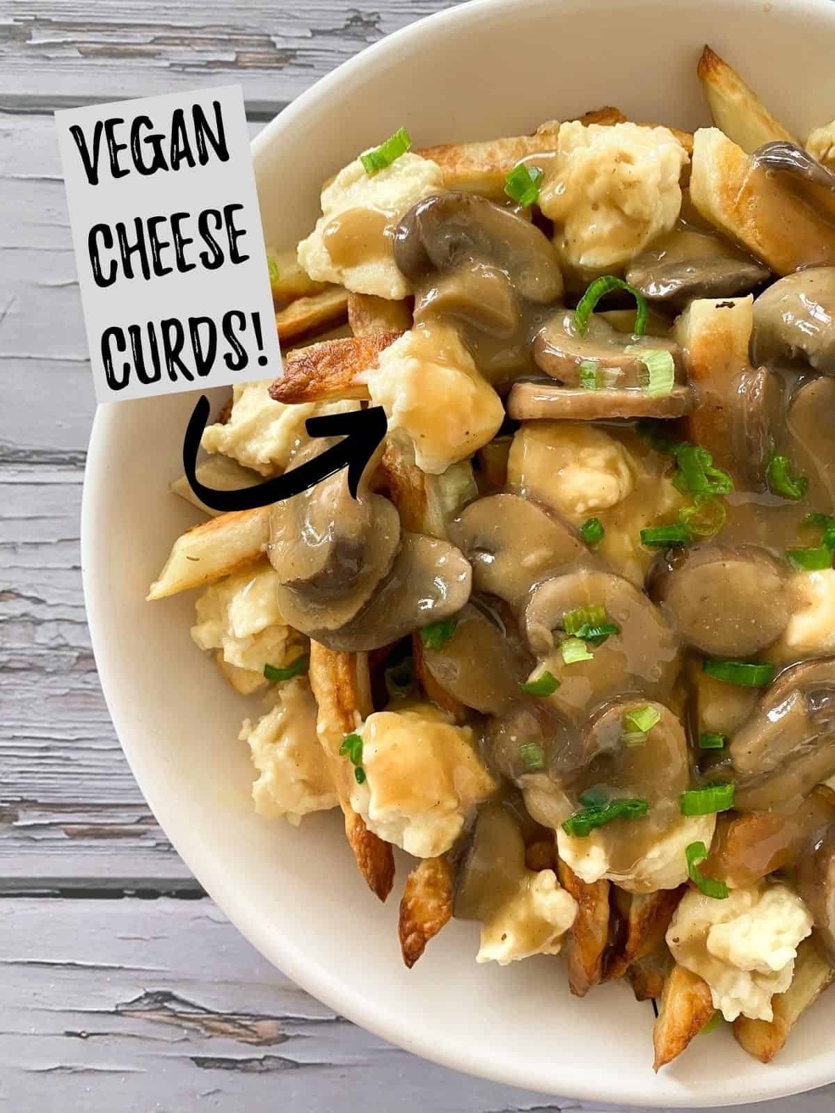 Fries, cheese and gravy in serving dish