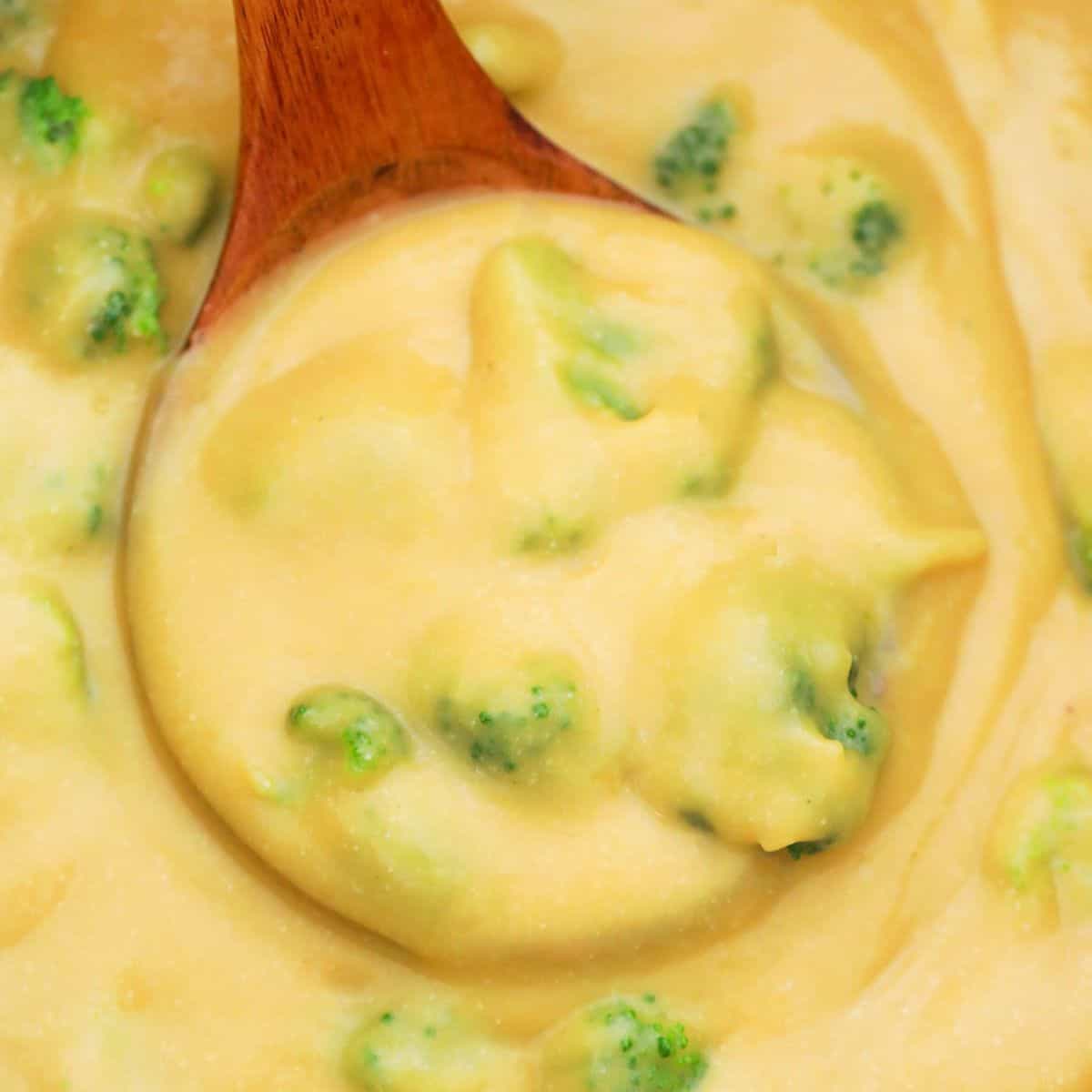 Ladle of creamy soup with broccoli pieces inside pot.