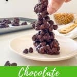 Chocolate covered chickpeas PIN.