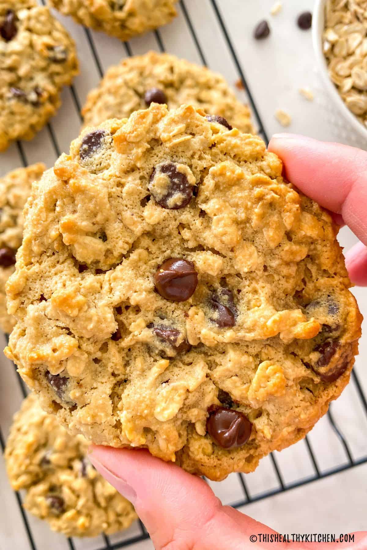 Hand holding up chocolate chip oatmeal cookie.