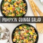 Pumpkin quinoa salad PIN.