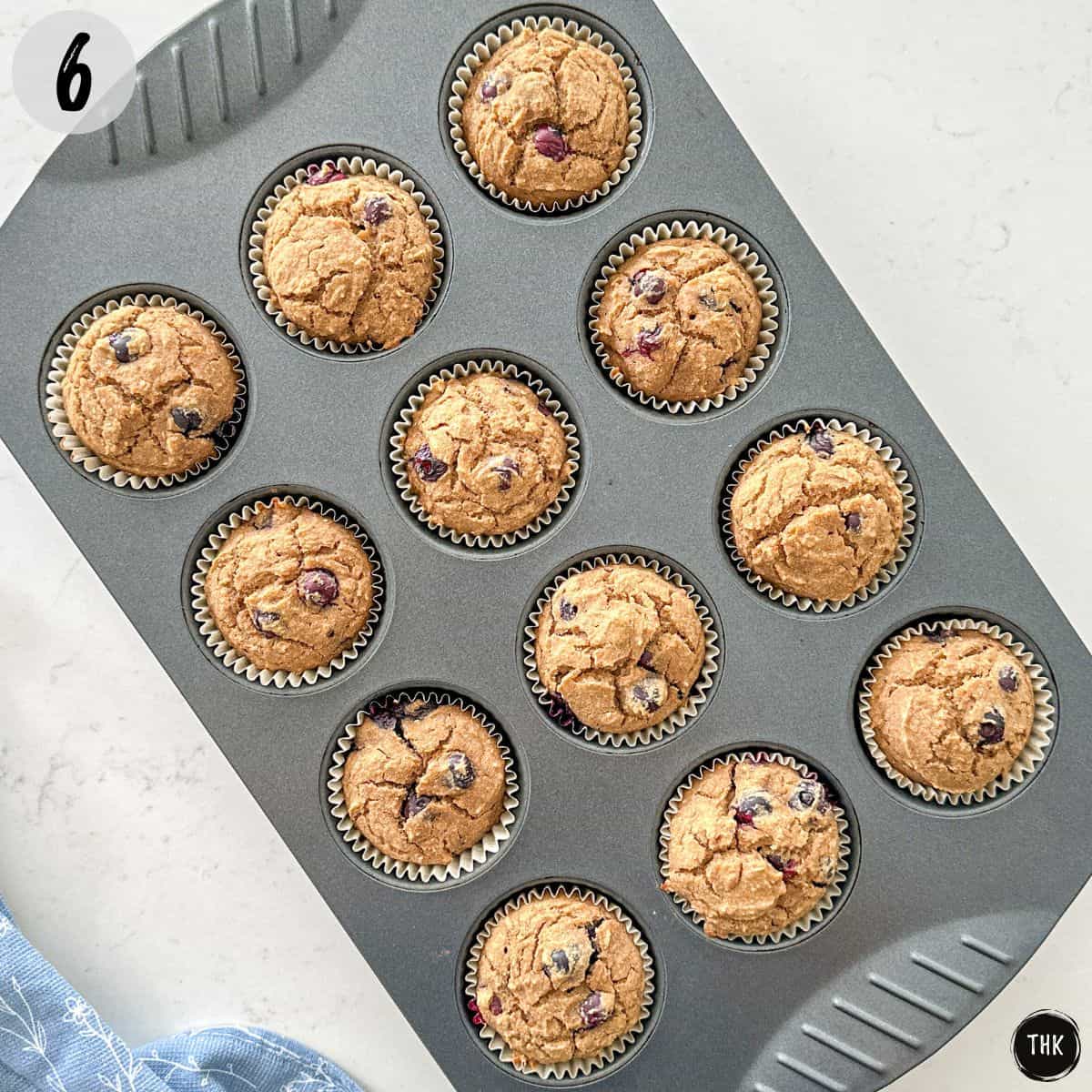 Baked banana lentil muffins in muffin pan.