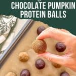 Pumpkin bliss balls PIN.